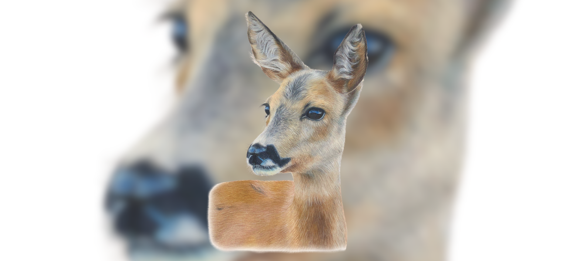 Deer Themed Country Gifts