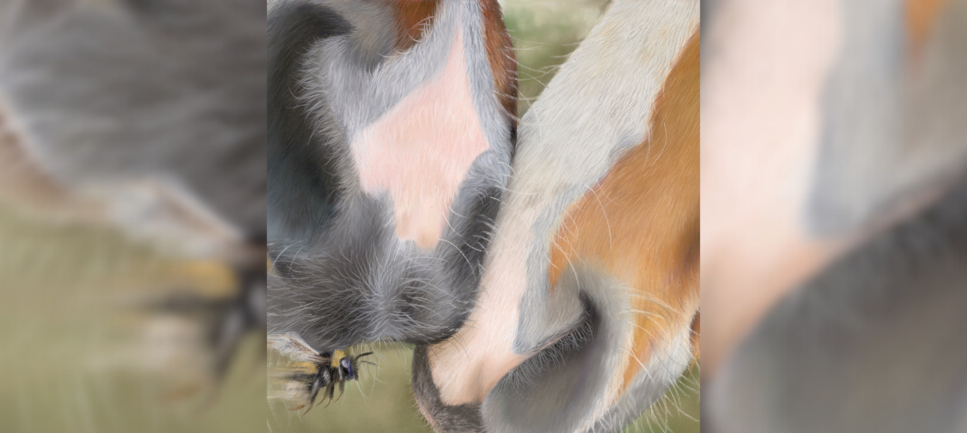 Two horse muzzles with a bee drawing by Georgie Turner. Equestrian collection of art and homewares.