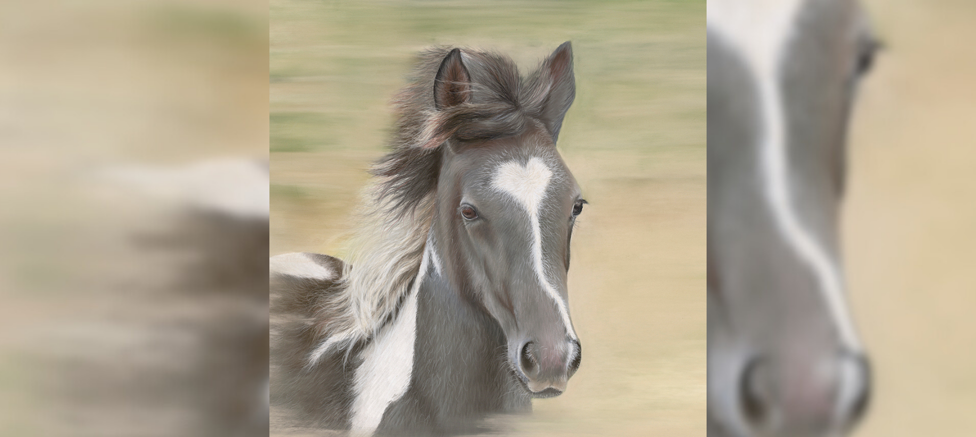 Foal Themed Horse and Country Gifts