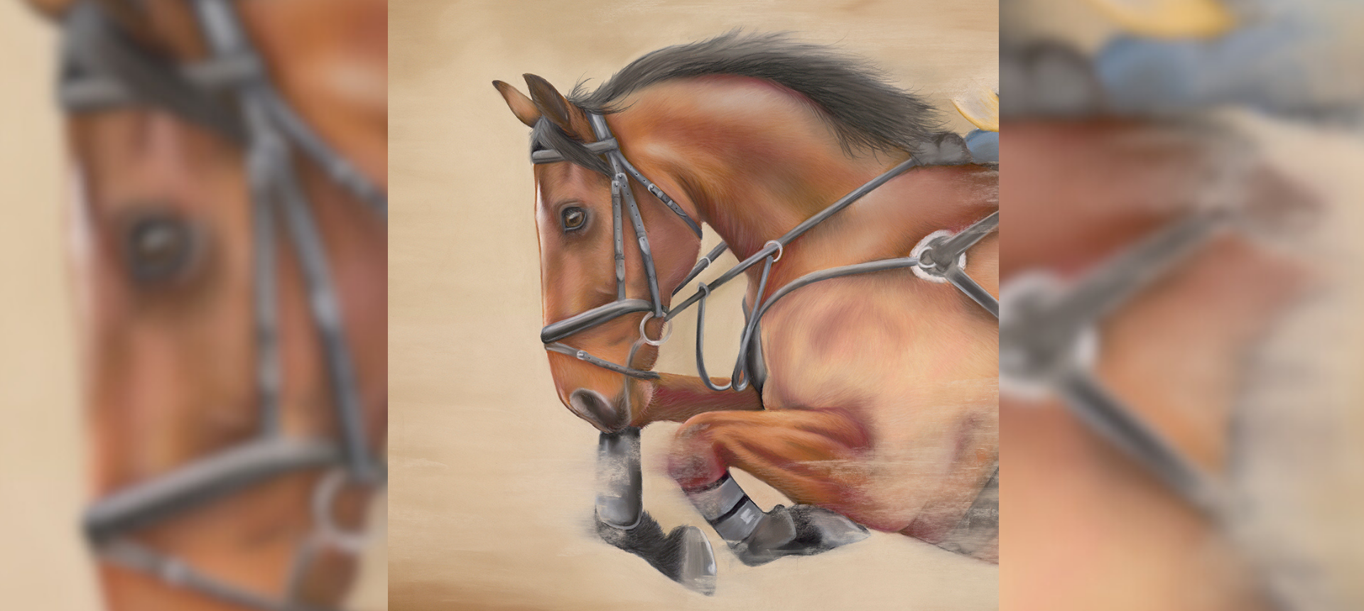 Showjumping Themed Country Gifts