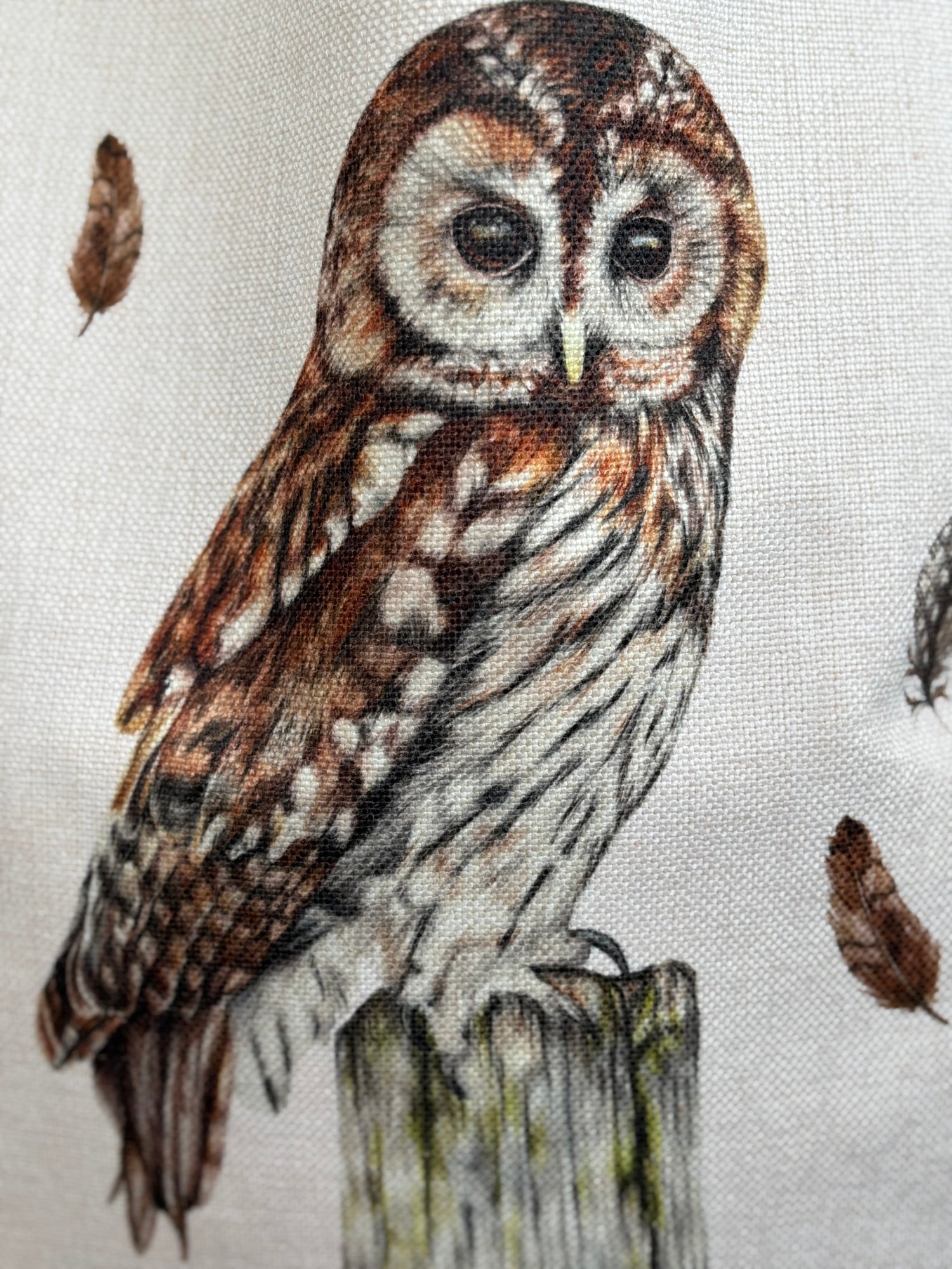 Close-up of tawny owl illustration on eco-friendly tote bag, showcasing intricate owl design perfect for wildlife gift ideas.