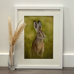 Framed 'Hare In The Grass' original artwork by Georgie Turner, ideal for country home decor. Displayed on floor with pampas grass for rustic charm.