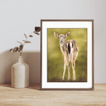 Fallow Fawn Fine Art Print On Paper in a dark wooden frame, styled on a wooden shelf with a ceramic vase, ideal for British countryside decor.