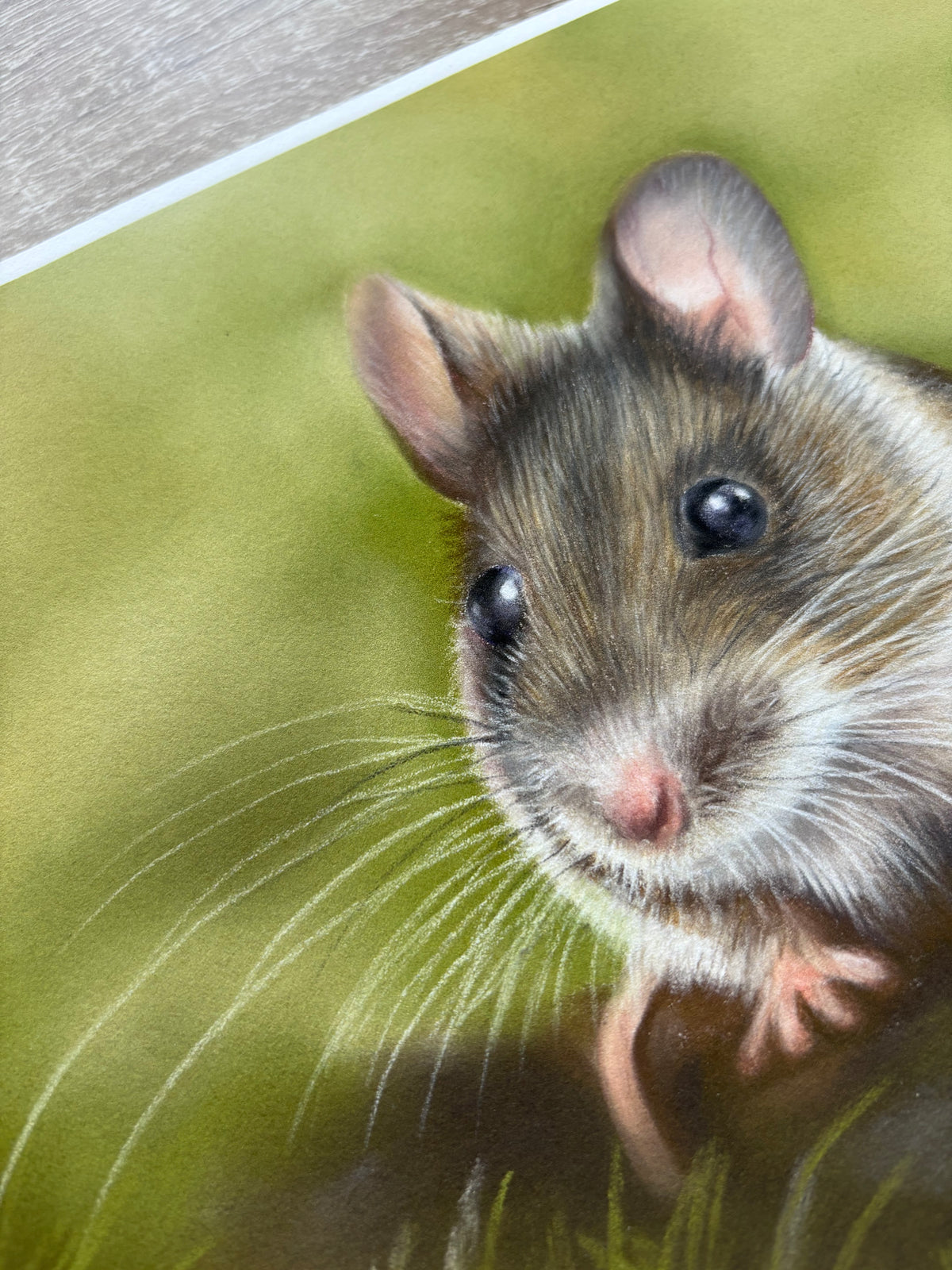 Close-up of Field Mouse Fine Art Print On Paper highlighting detailed whiskers and fur texture, a charming addition to rustic home decor.