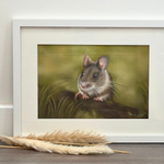 Framed Field Mouse original artwork by Georgie Turner, ideal for country home decor. Features a realistic mouse painting in soft natural tones.