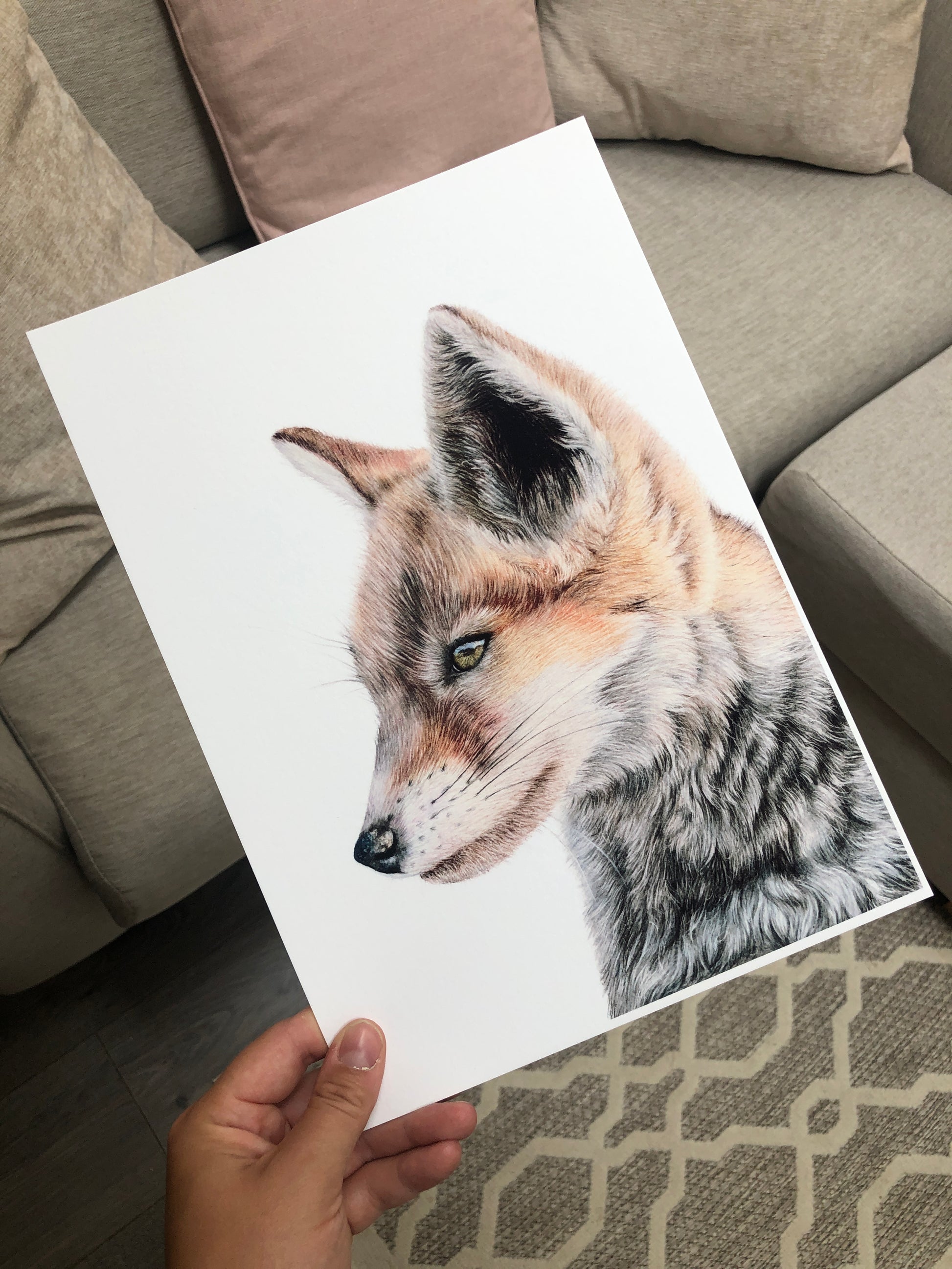 British Wildlife - Fox cub print