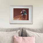 Framed pheasant original artwork titled 'Gerald' displayed above a neutral-toned sofa, ideal for country home decor and rustic wall art.