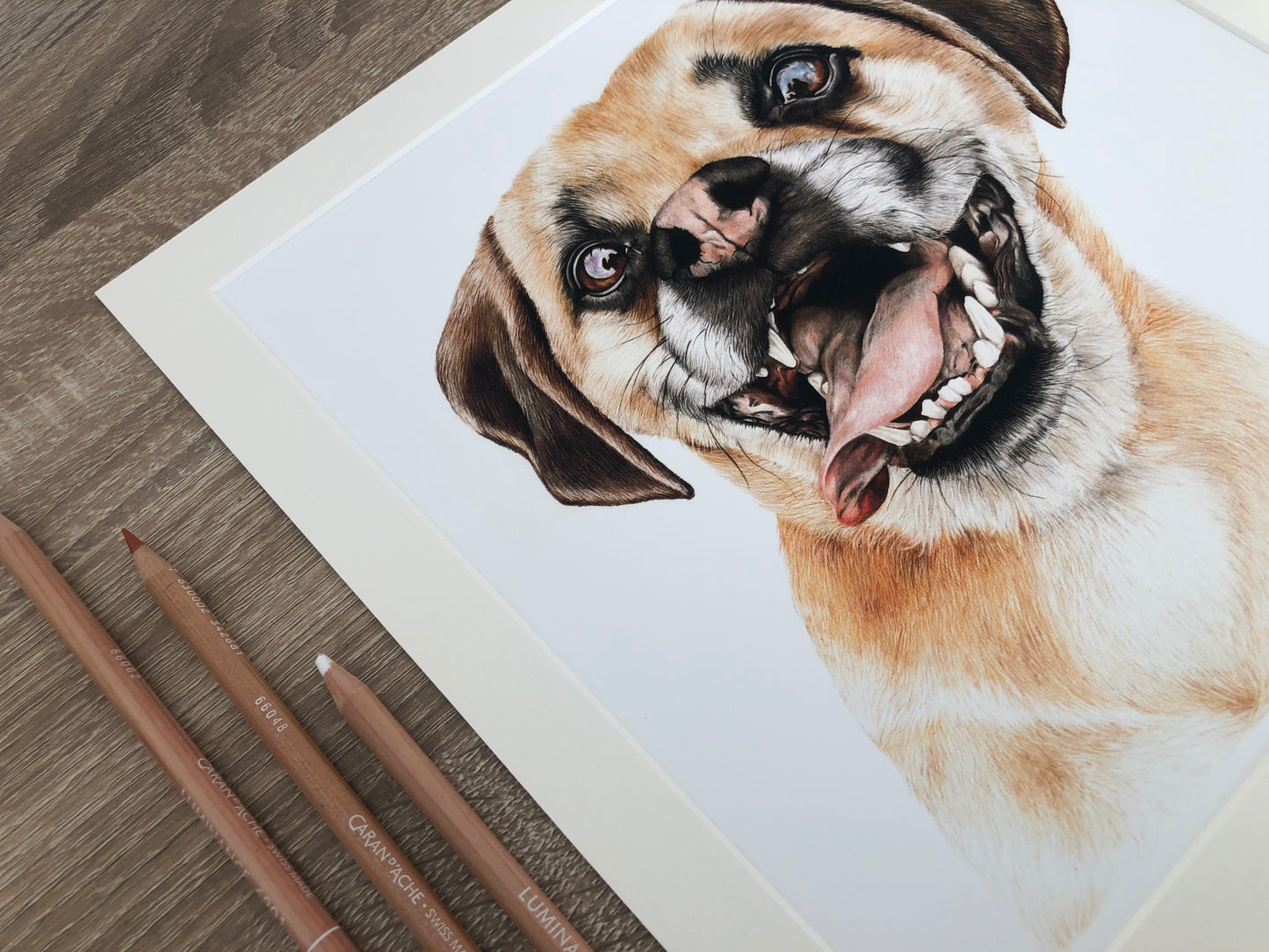 Happy Dog Limited Edition Fine Art Print