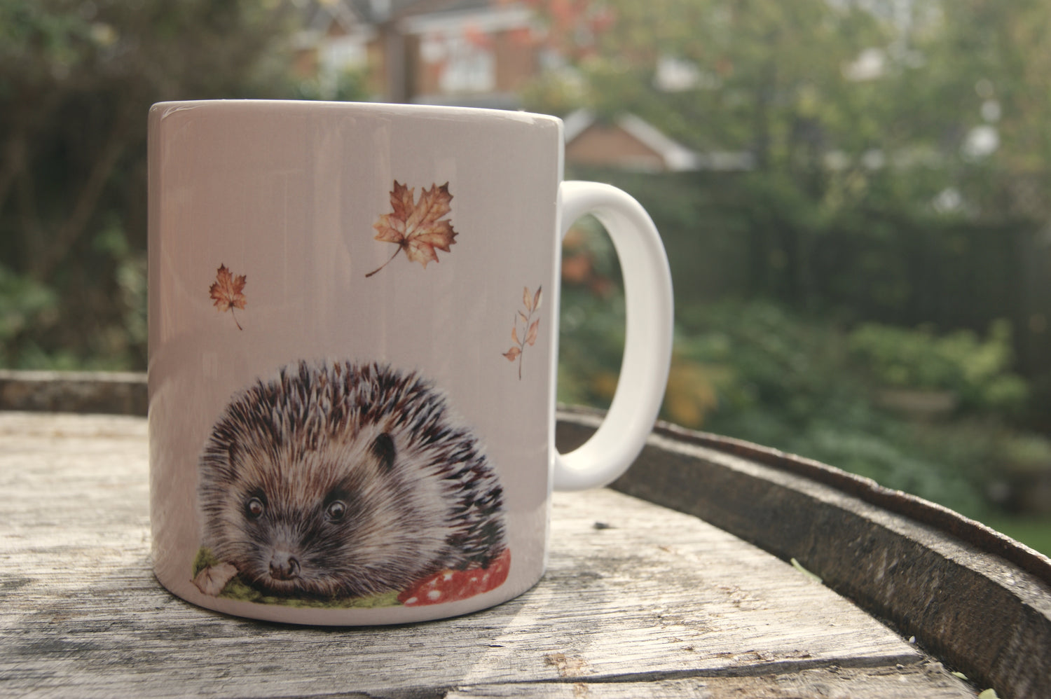 Hedgehog Mug
