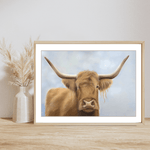 Scottish Highland Cow Print fine art giclee in wooden frame on wooden shelf with pampas grass vase. Ideal farming wall print for rustic home decor.