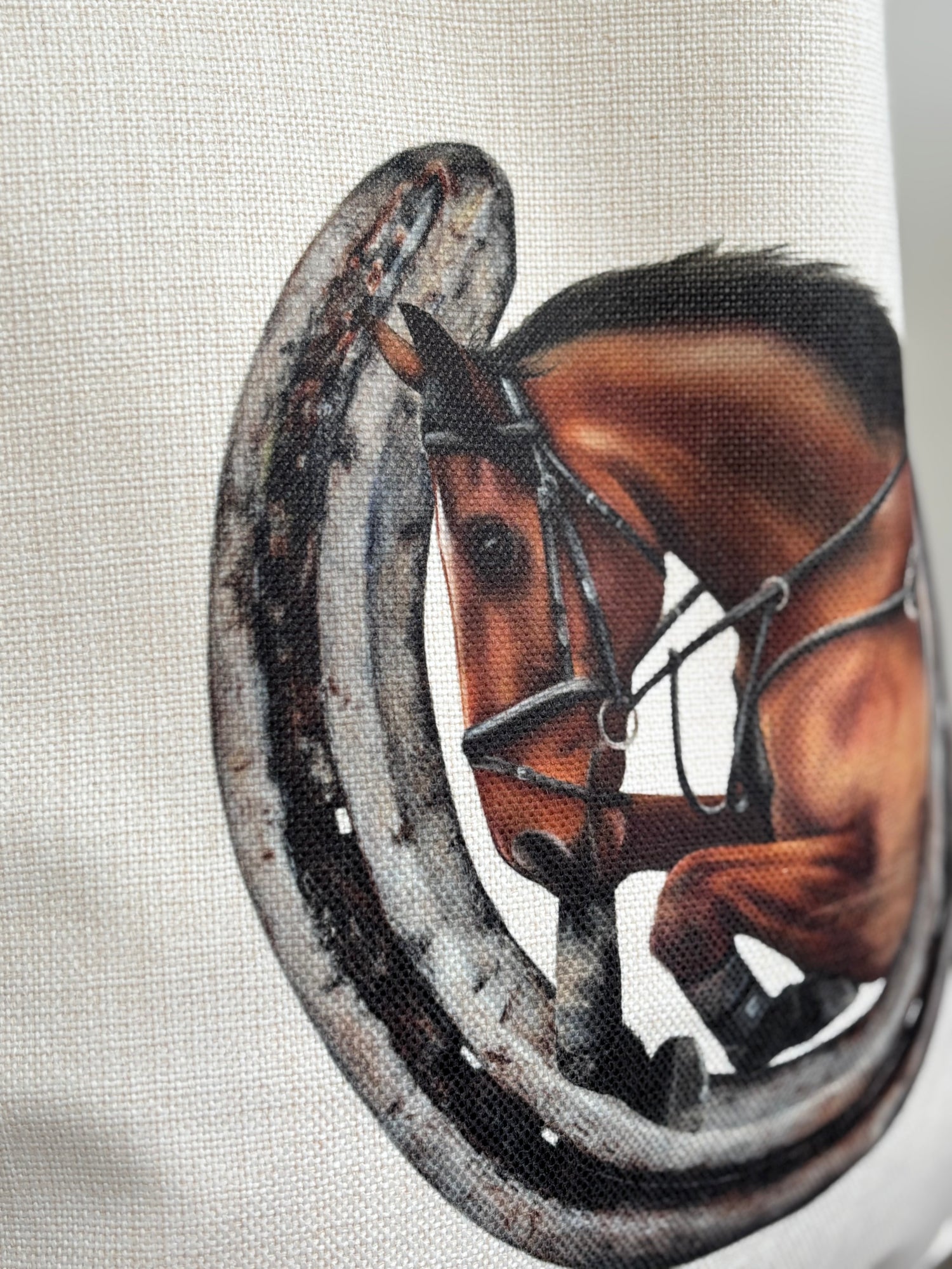 Close up detail of a showjumping horse and horseshoe