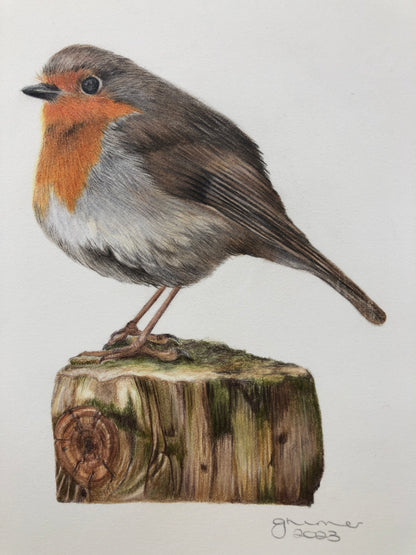 Little Robin Original Drawing