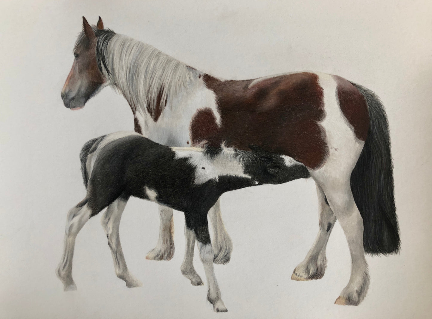 By Your Side Mare & Foal Original Drawing