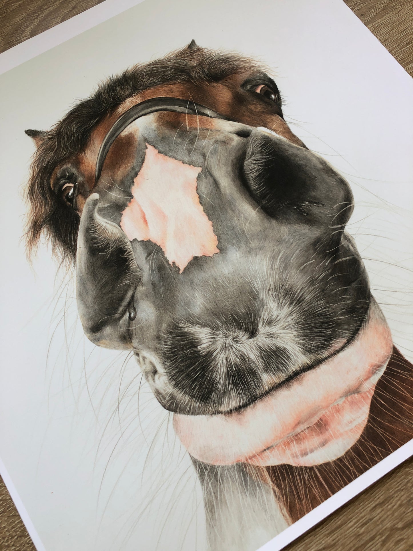 Nosy Pony Limited Edition Print