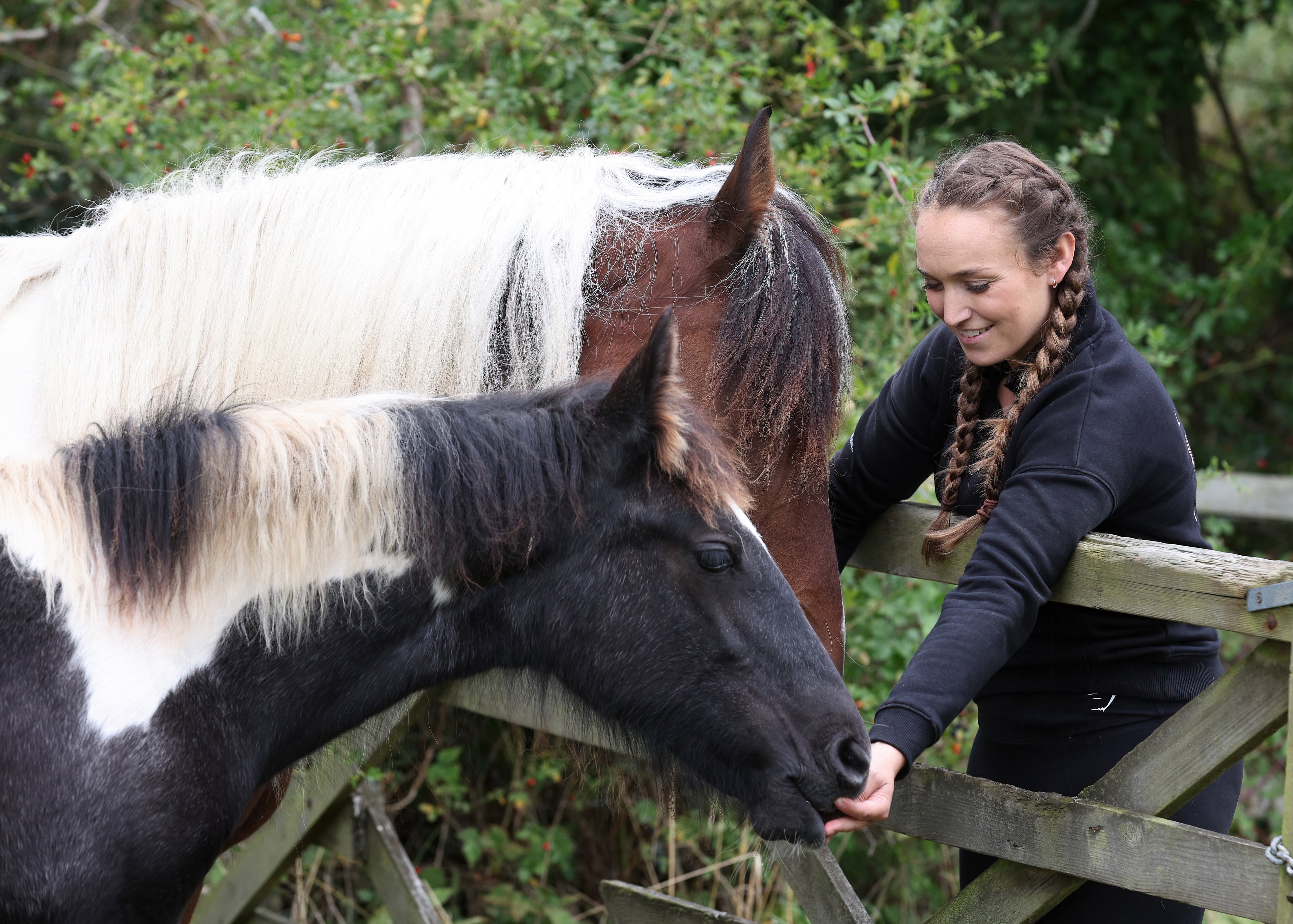 Georgie feeding horses over wooden gate