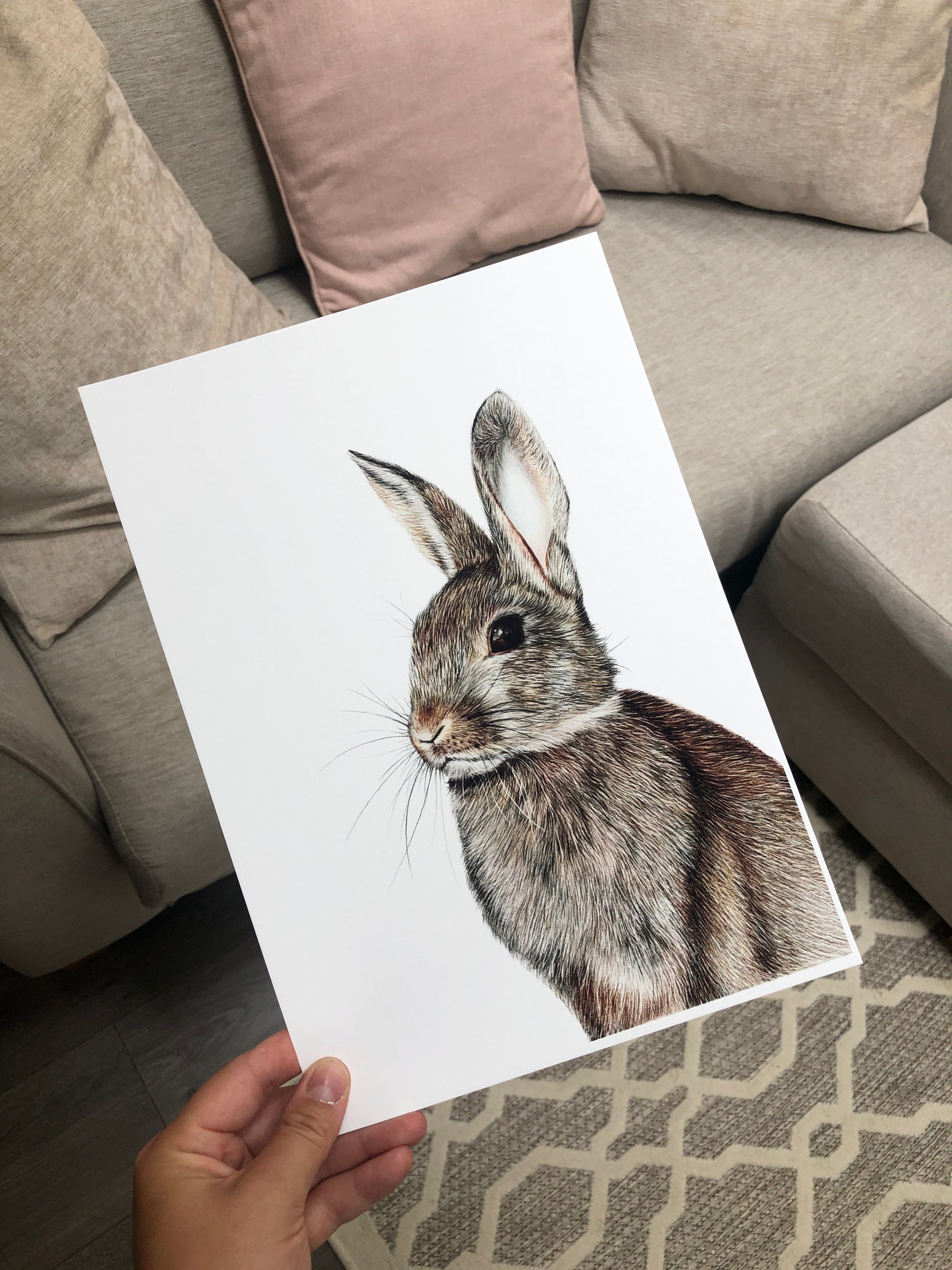 British wildlife - Rabbit Print
