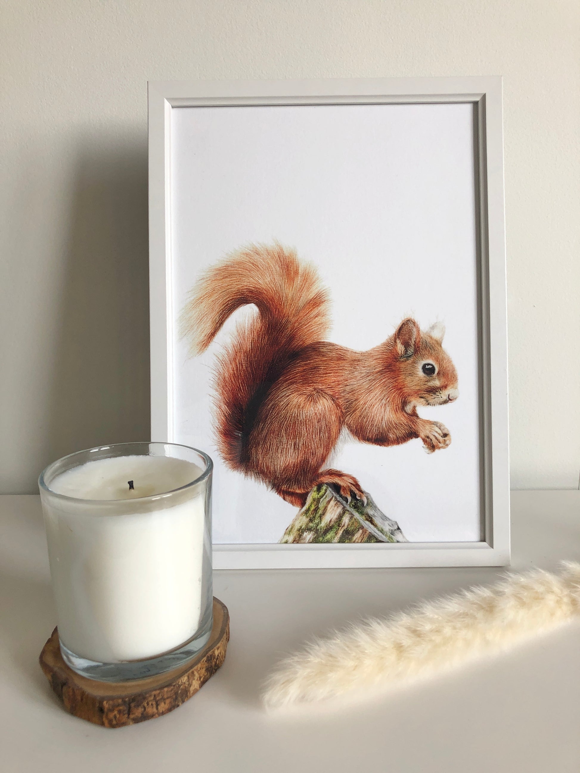 Red Squirrel British Wildlife and Woodland Art