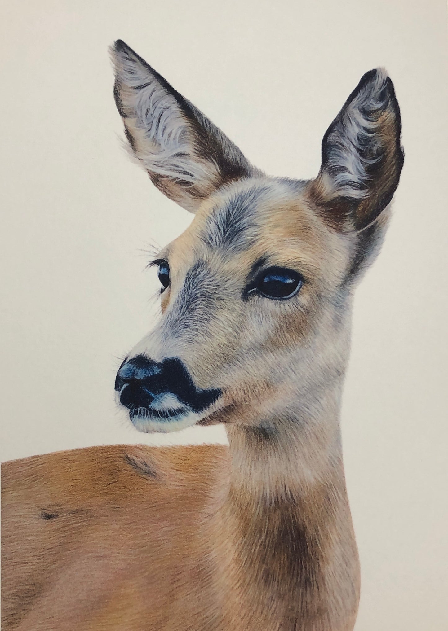 Deer Limited Edition Fine Art Print