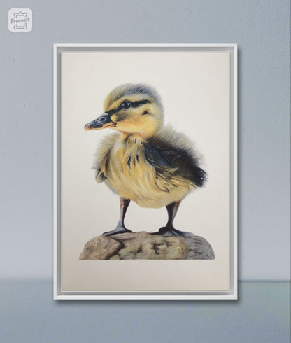 Duckling Print 'Maurice' Limited Edition
