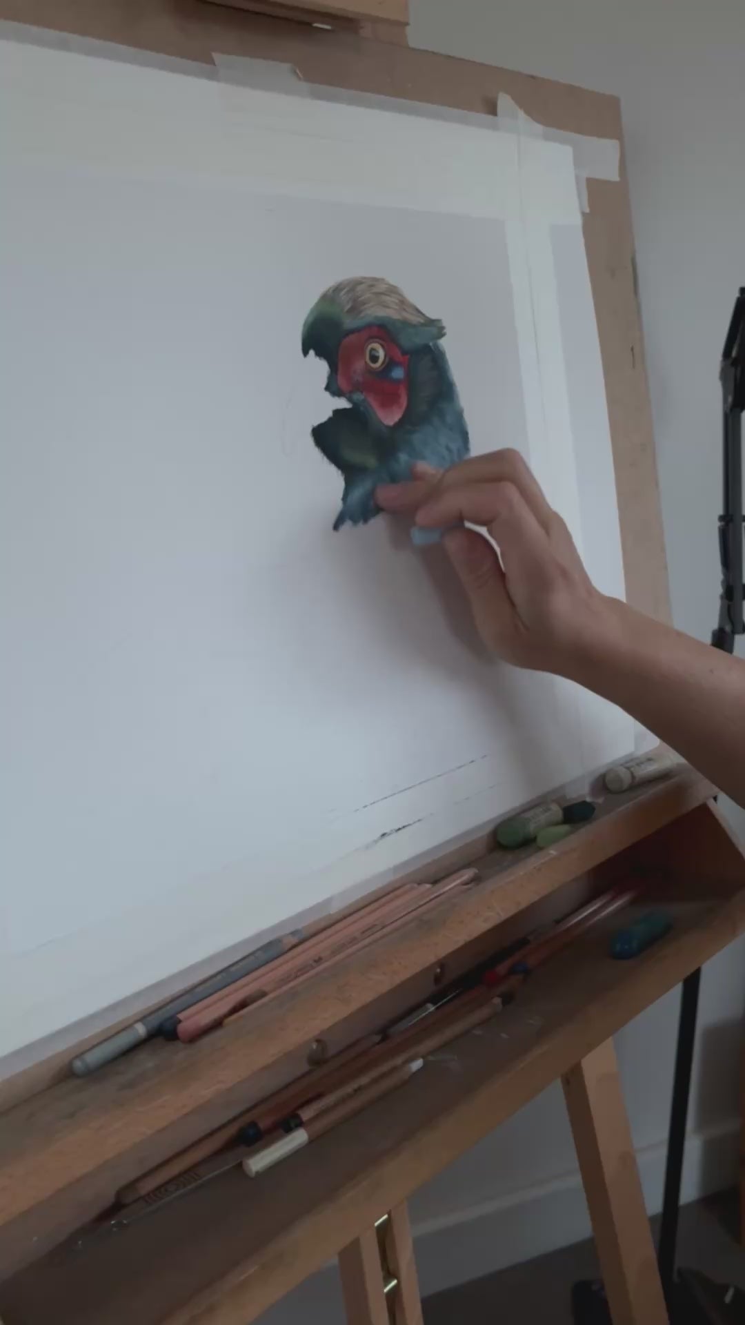 Artist drawing pheasant artwork 'Gerald' with pastels on white paper, capturing the early stages of this original country-themed painting.