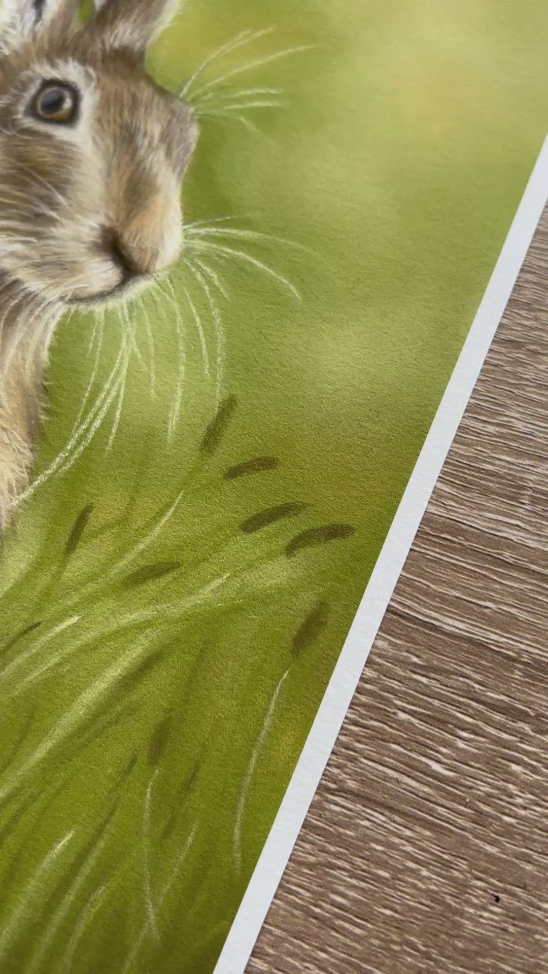 Close-up of Hare In The Grass Fine Art Print On Paper showing fine texture and detail, highlighting quality for country home decor.