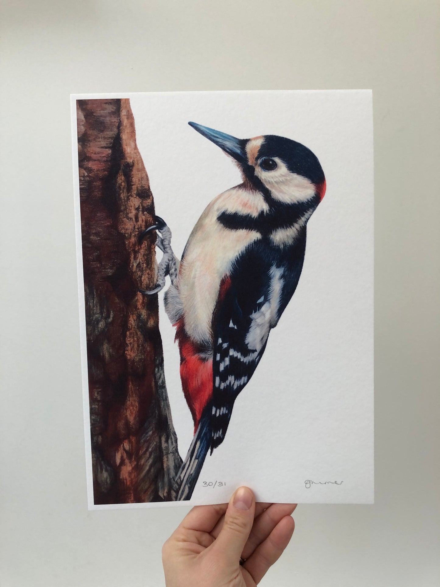 Woodpecker Limited Edition Print