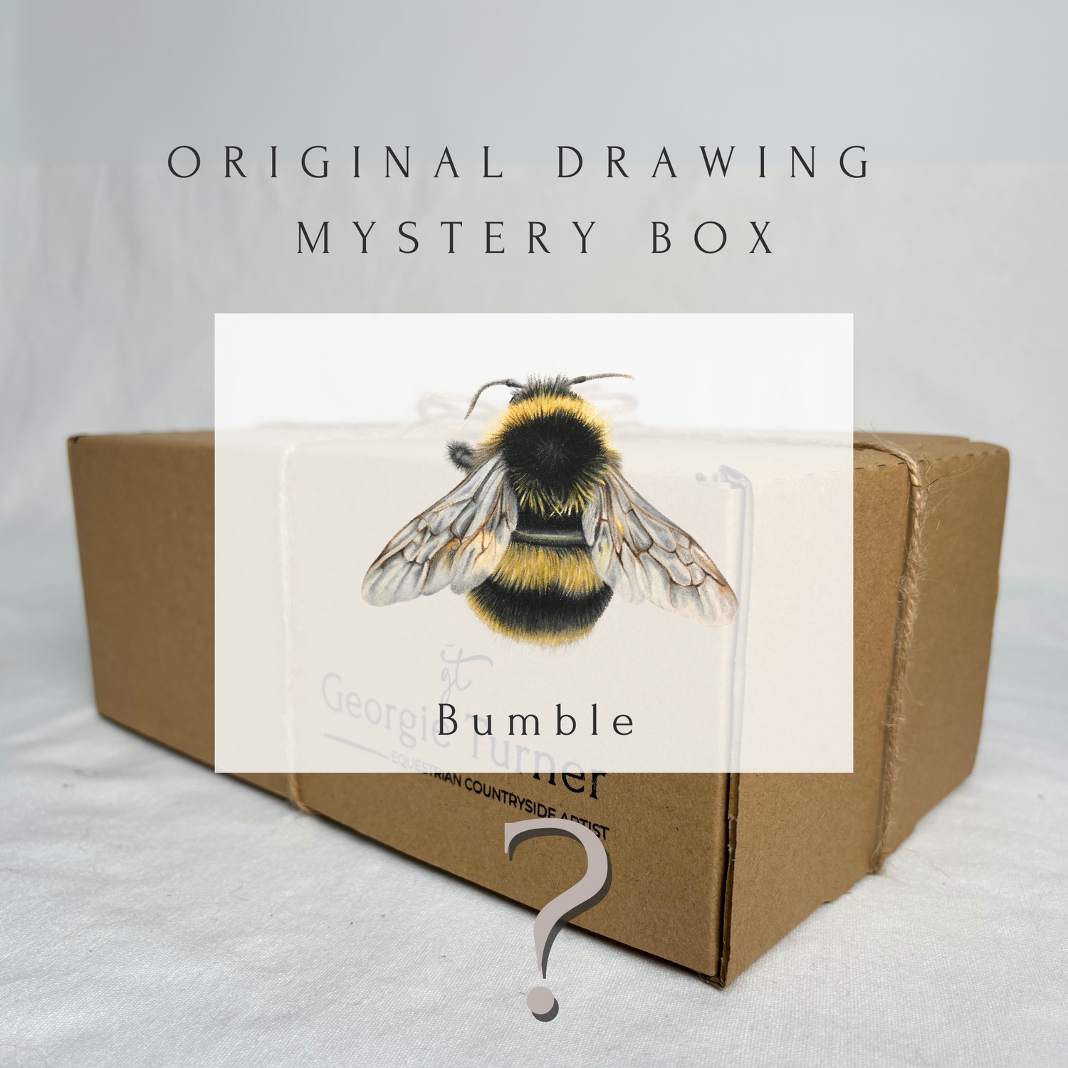 'Bumble' Bumble Bee Original Artwork Mystery Box