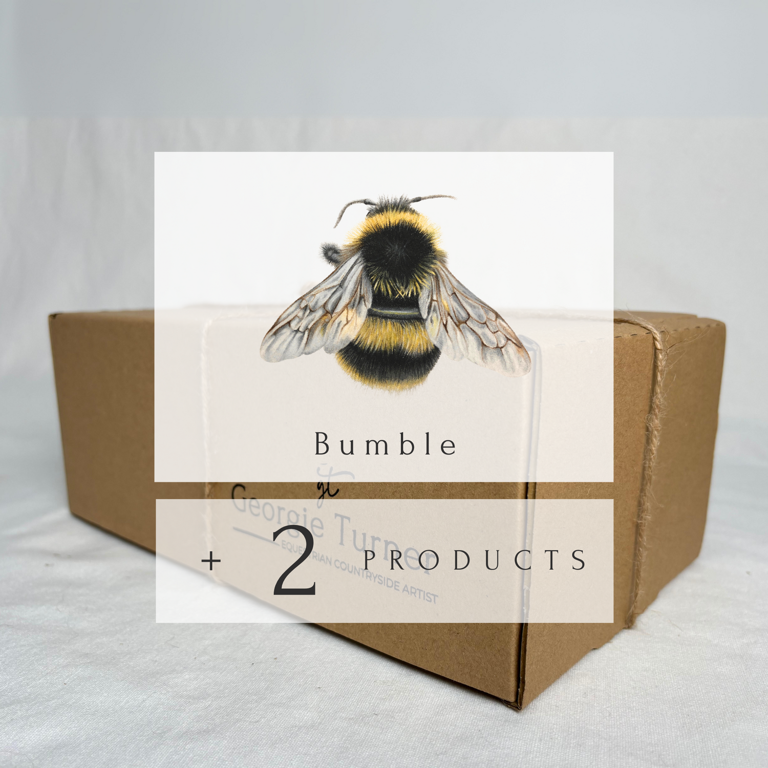 'Bumble' Bumble Bee Original Artwork Mystery Box