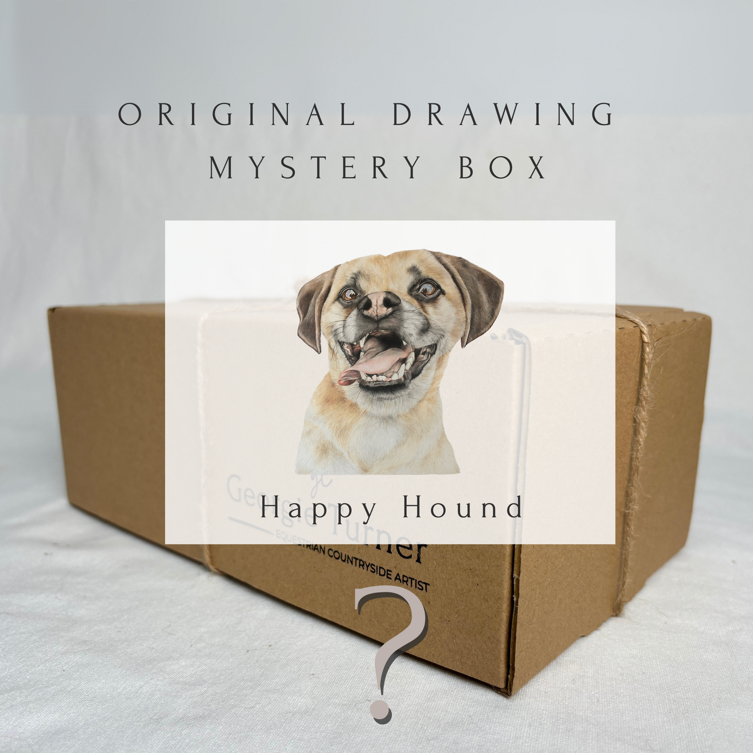 'Happy Hound' Laughing Dog Mystery Box