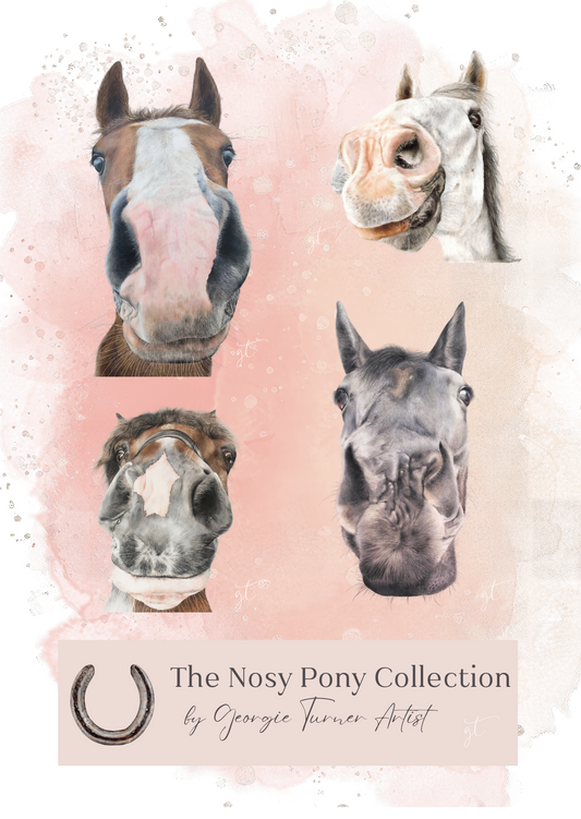 Nosy Pony Stickers