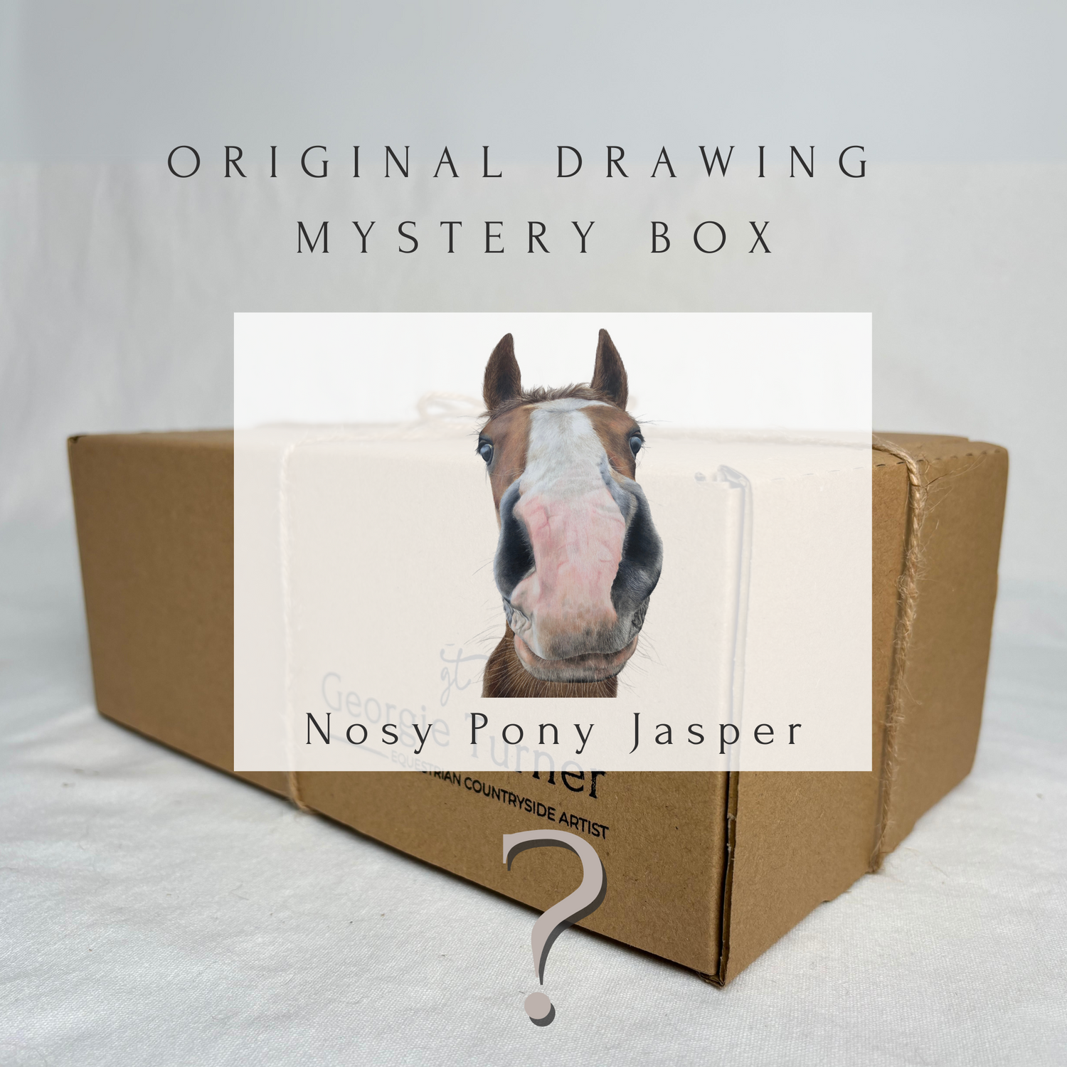 'Jasper' Chestnut Horse Mystery Box