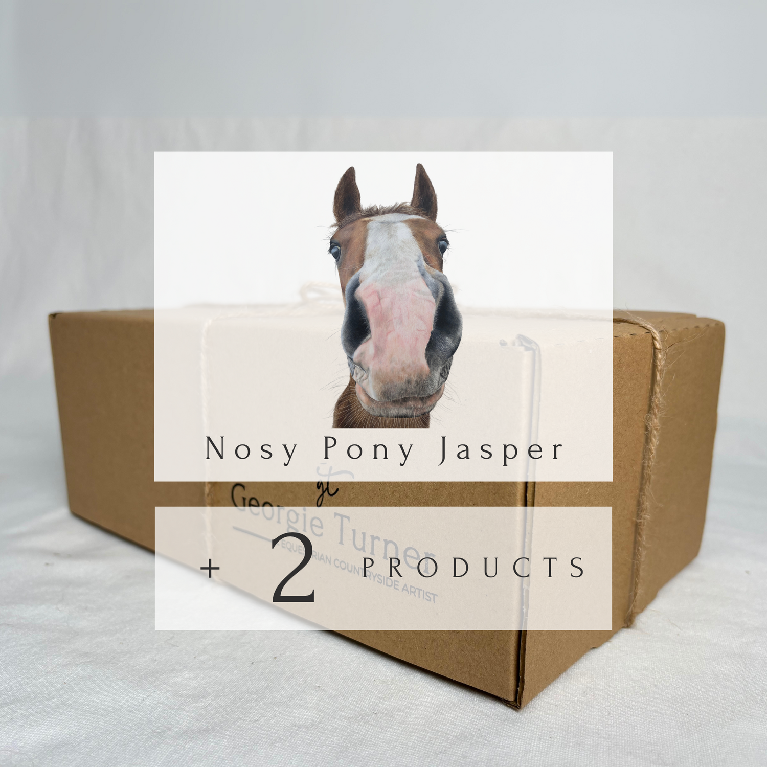 'Jasper' Chestnut Horse Mystery Box