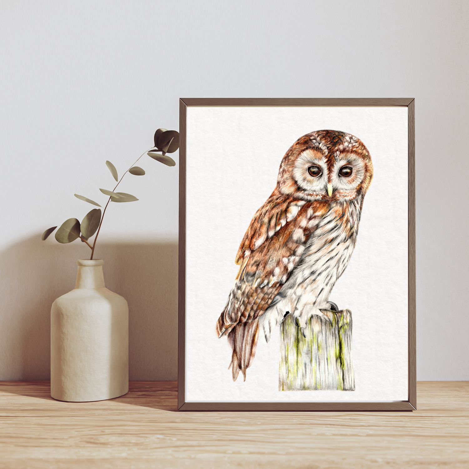 The Tawny Owl Fine Art Print on Paper