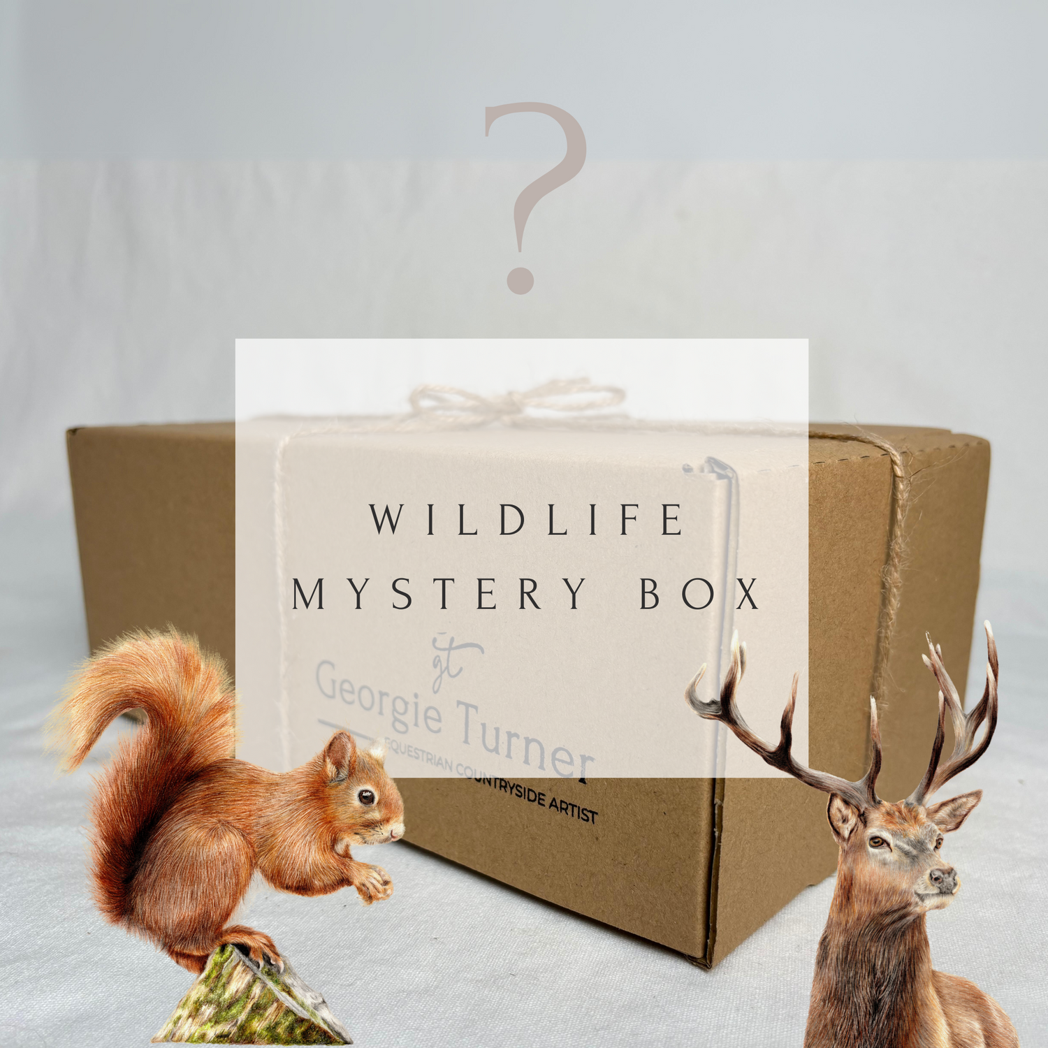 British Wildlife Mystery Box