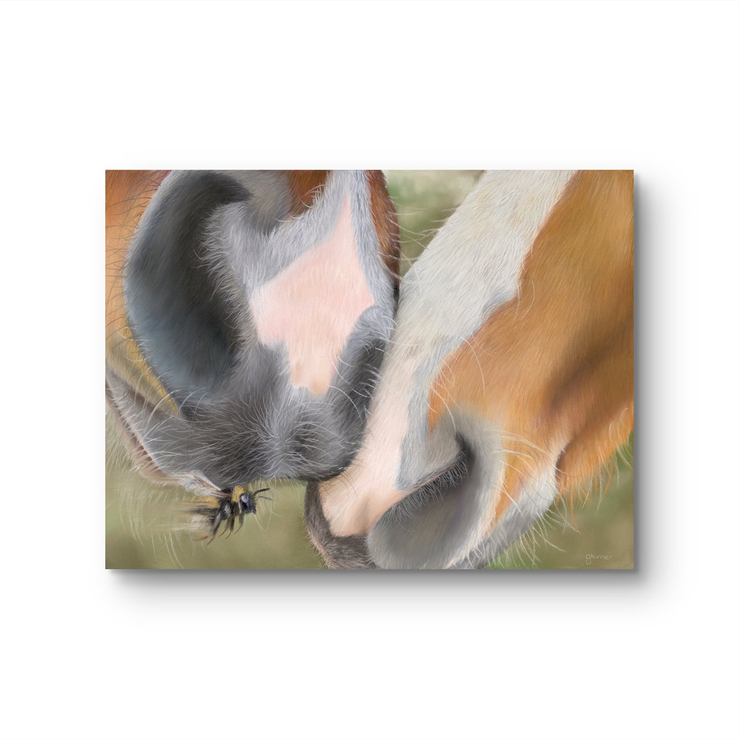 'Soft Kisses' Fine Art Print