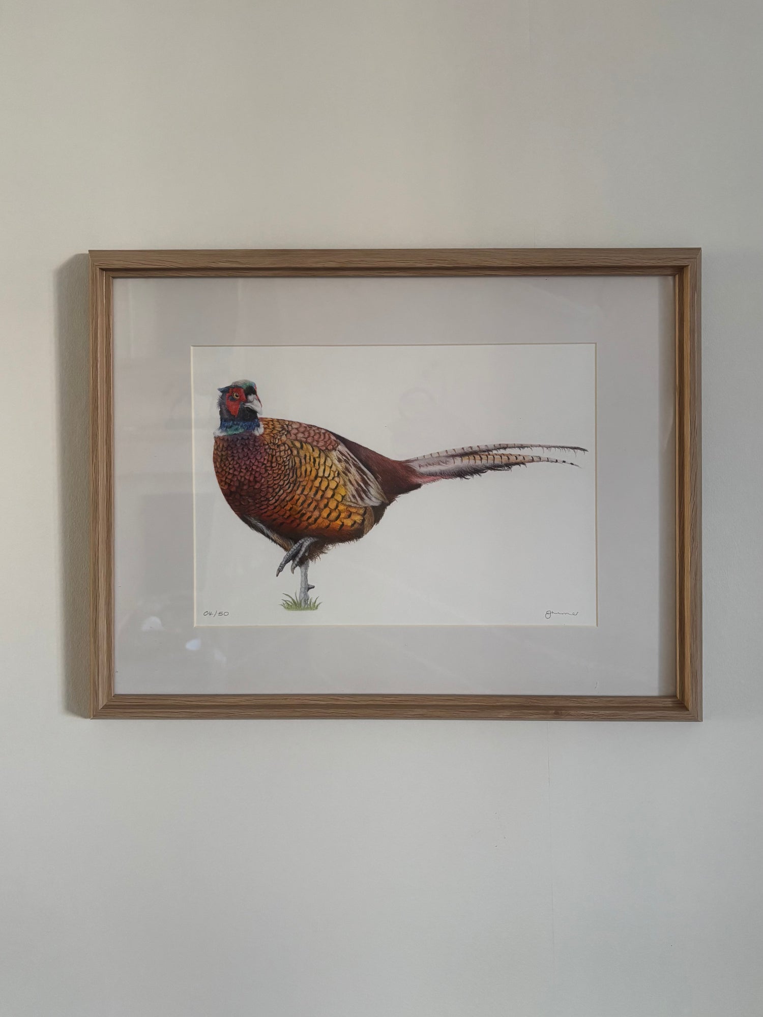 Pheasant Framed Art