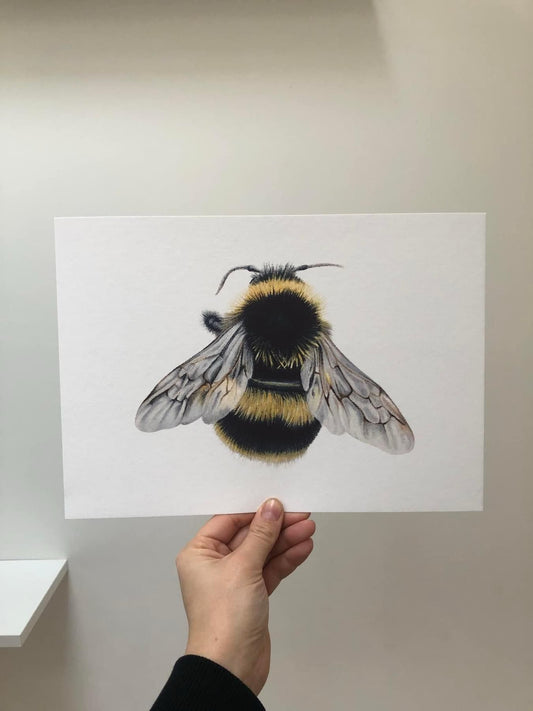 Bumble Bee Print