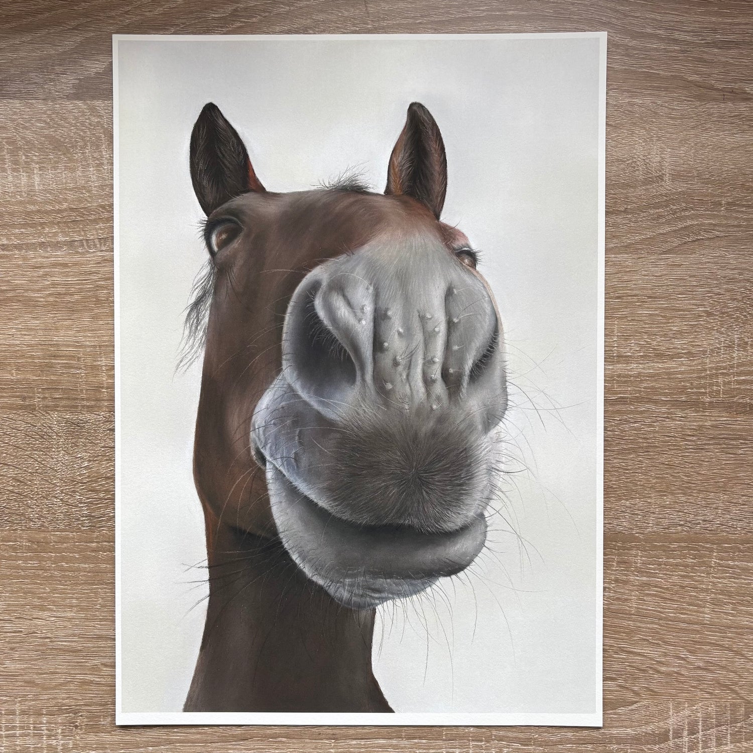 Nosy Pony Print - Sprinter Sacre