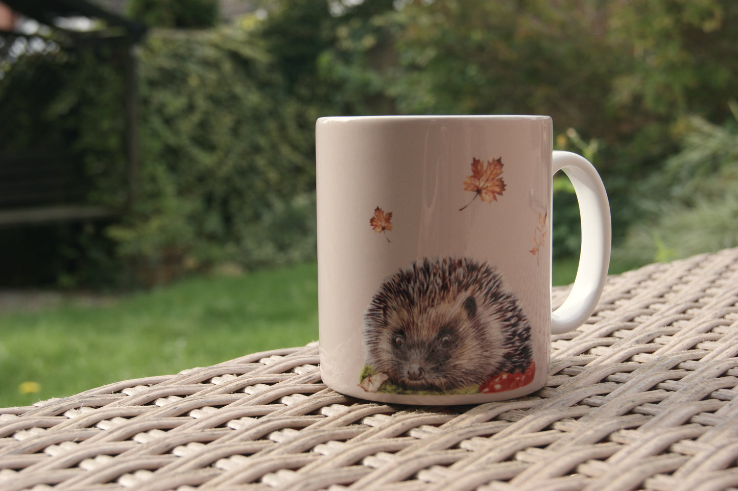 The Hedgehog Ceramic Mug