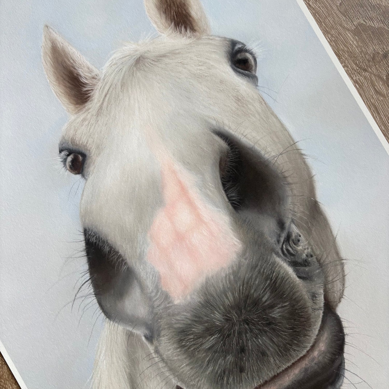 Close-up of a horse's face with a neutral background