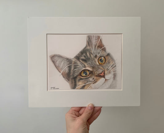 The Tabby Kitten Cat Original Drawing