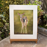 'Fallow Fawn' original deer painting displayed on wooden easel outdoors, framed wildlife art perfect for countryside-themed home decoration.