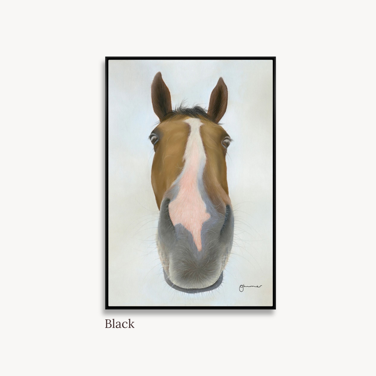 Nosy Pony® 'Faugheen' Canvas Print