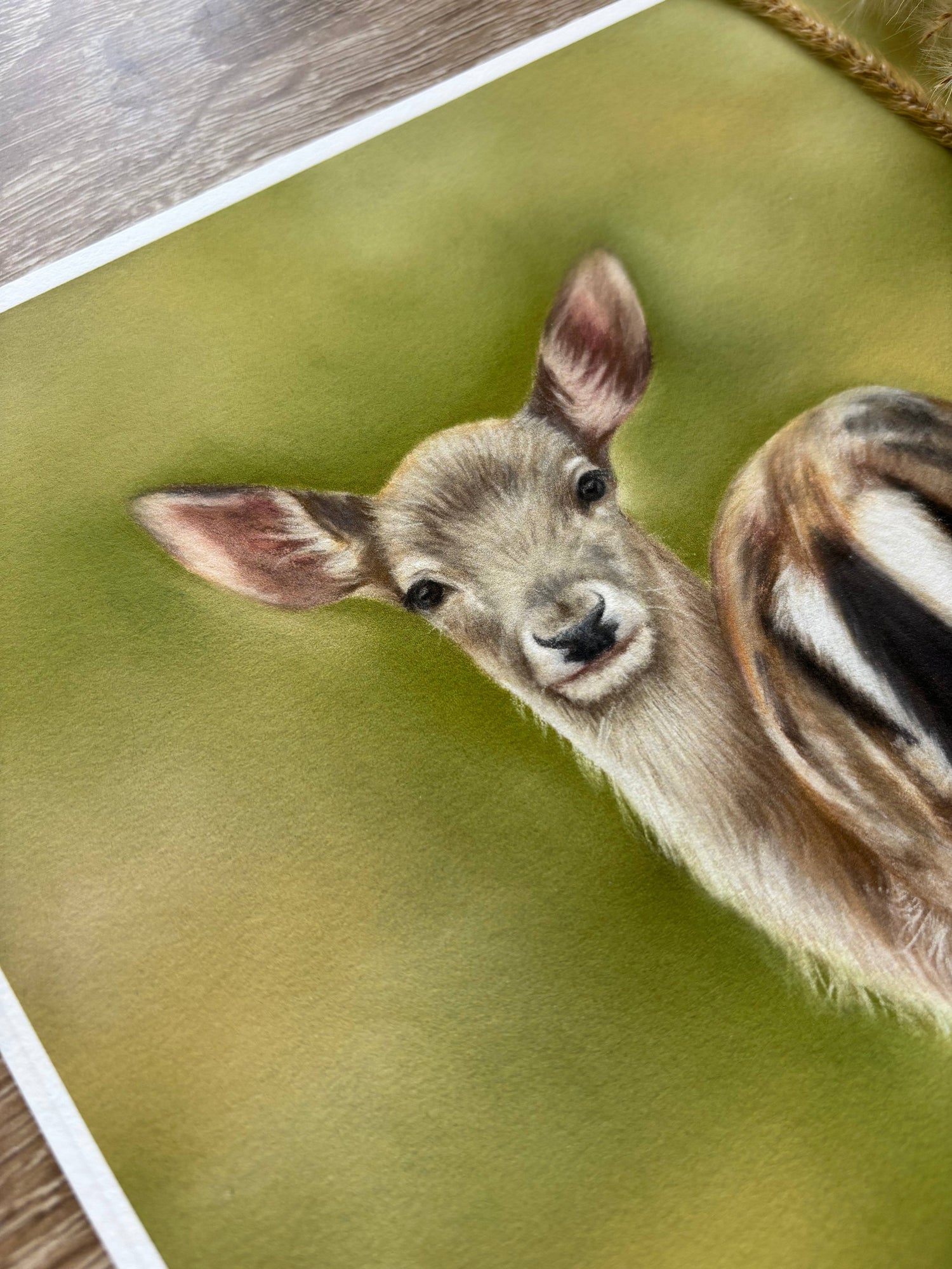 Close-up of Fallow Fawn Fine Art Print On Paper highlighting fine detail and texture, ideal for nature-inspired British interior design.