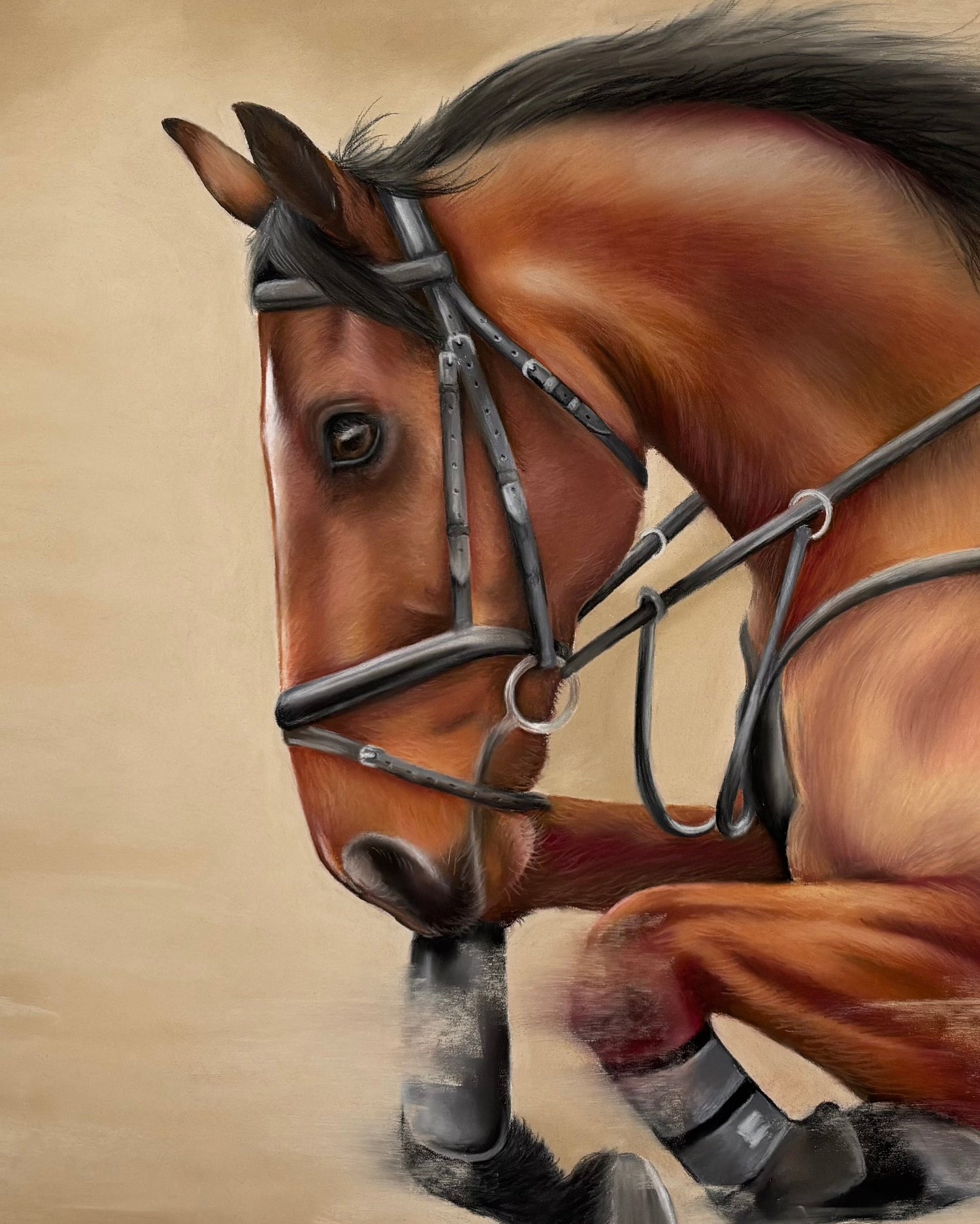 Showjumping Original Equestrian Artwork - 'Flying Forward'