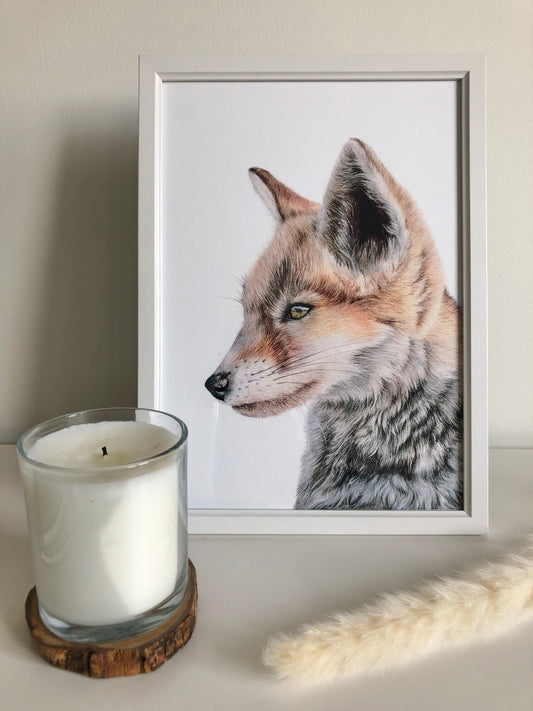 British Wildlife - Fox Cub