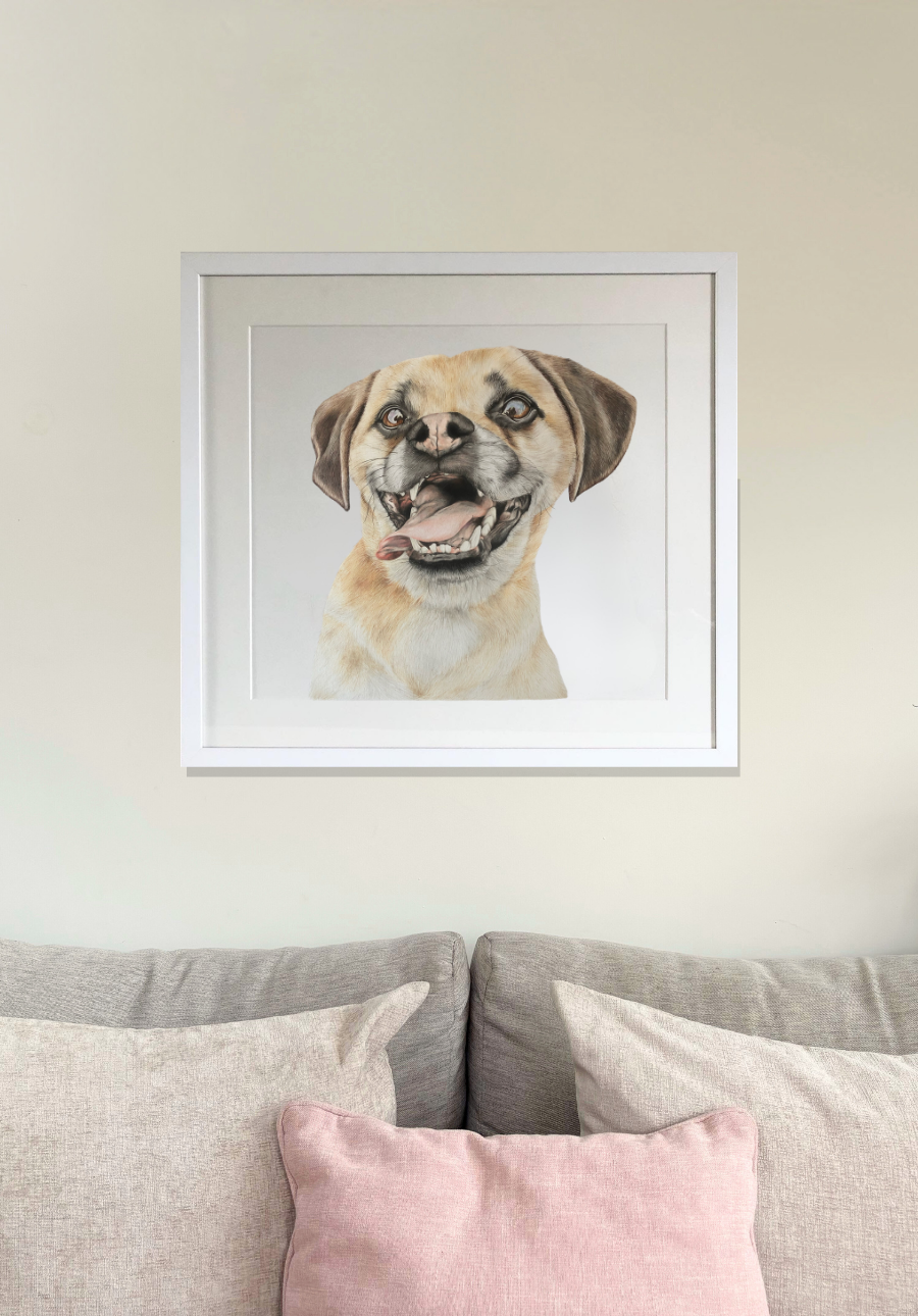 Smiling dog original painting in white frame, styled above a pastel-toned sofa. Country home decor wall art by Georgie Turner.