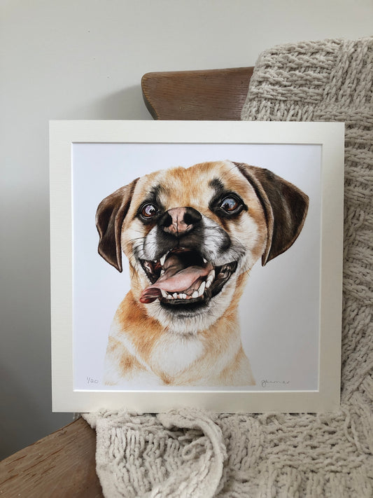 Happy Dog Limited Edition Fine Art Print