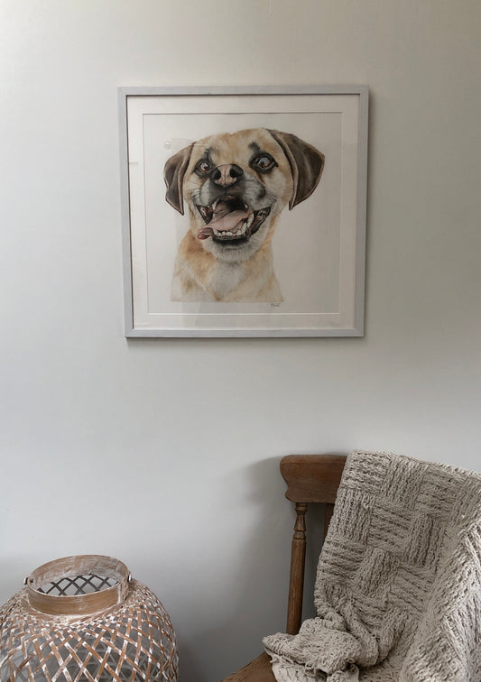 happy smiling dog artwork colour pencil drawing