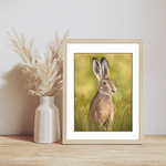 Hare In The Grass Fine Art Print On Paper in a light wood frame with pampas grass, fitting for rustic and nature-inspired decor themes.